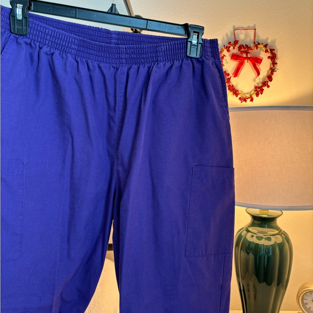 Dickies scrub pants. Soft and comfortable! Broken in with no stains! - Picture 3 of 5